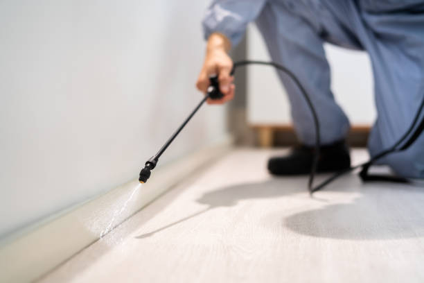 Licensed Mosquito Control service in Caldwell, TX - Nex Pest Control