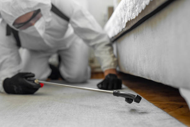 Professional Mosquito Control technician working in Caldwell, TX