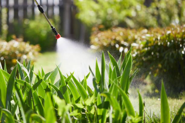 24/7 Emergency Mosquito Control experts in Caldwell, TX