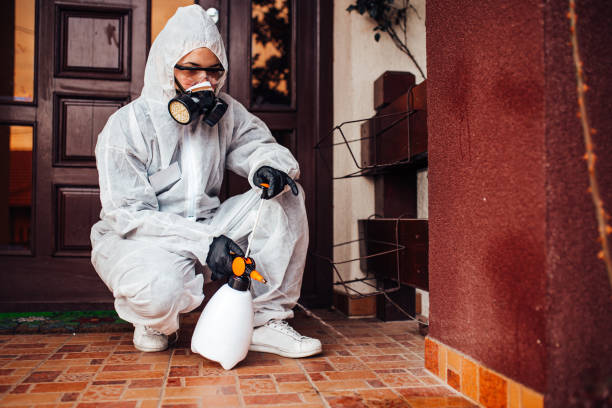 Reliable Mosquito Control contractor in Caldwell, TX by Nex Pest Control