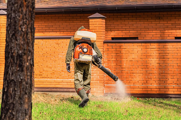 Trusted Mosquito Control service in Caldwell, TX - Nex Pest Control